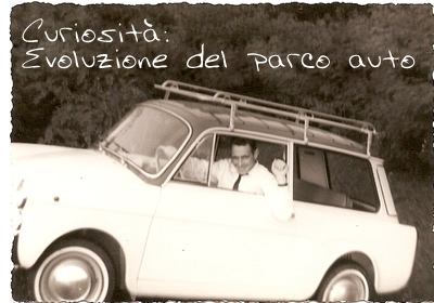 curisotia